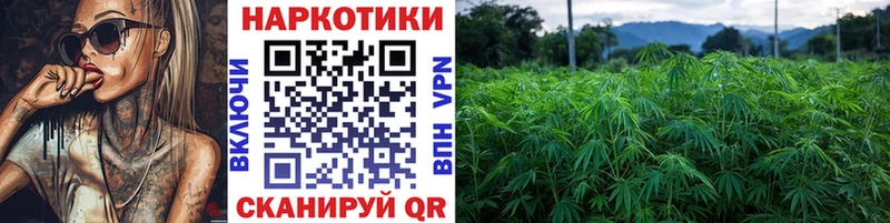 Купить закладку Михайловка Alpha-PVP  Галлюциногенные грибы  NBOMe  Гашиш 