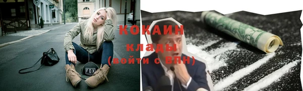 твердый Кулебаки
