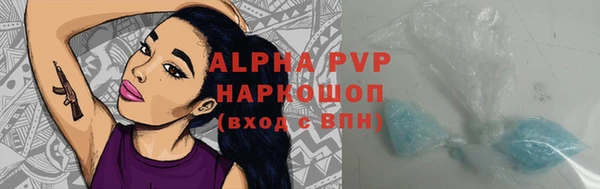 крисы Лабытнанги