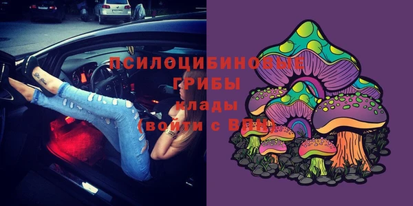 твердый Кулебаки