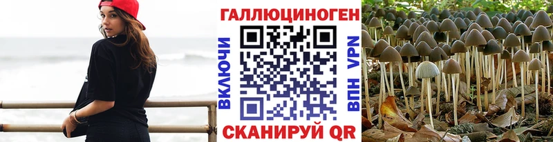даркнет официальный сайт  Михайловка  Галлюциногенные грибы Psilocybe 
