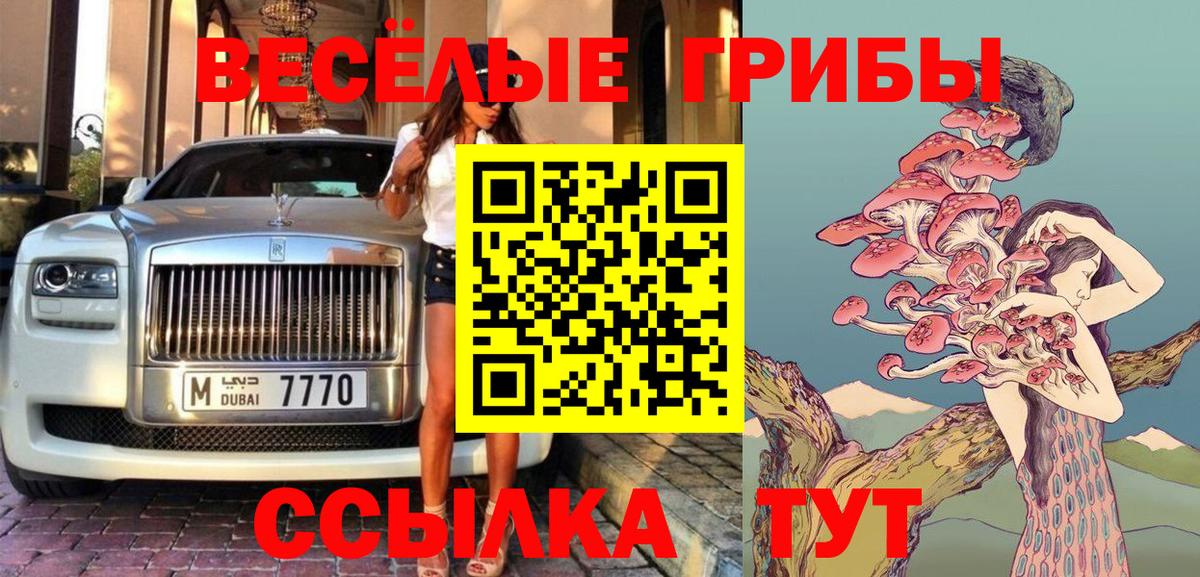 Псилоцибиновые грибы мухоморы  как найти закладки  Михайловка 