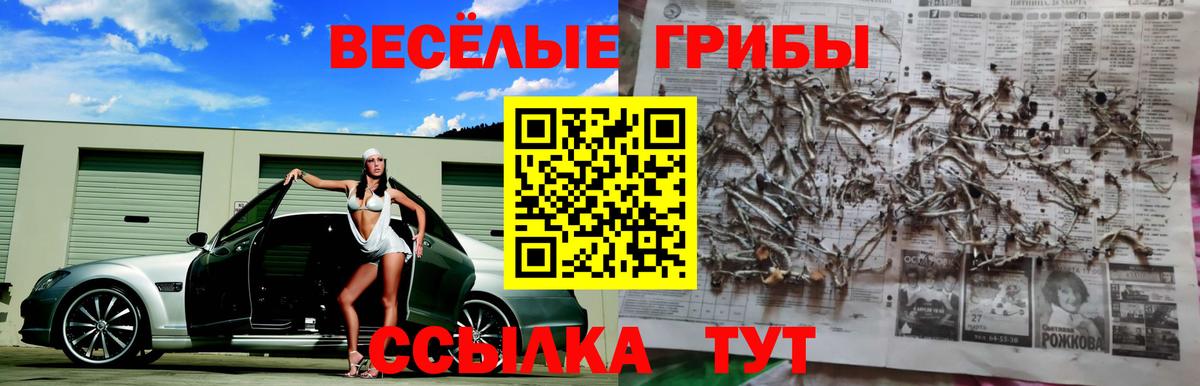 Галлюциногенные грибы GOLDEN TEACHER Михайловка