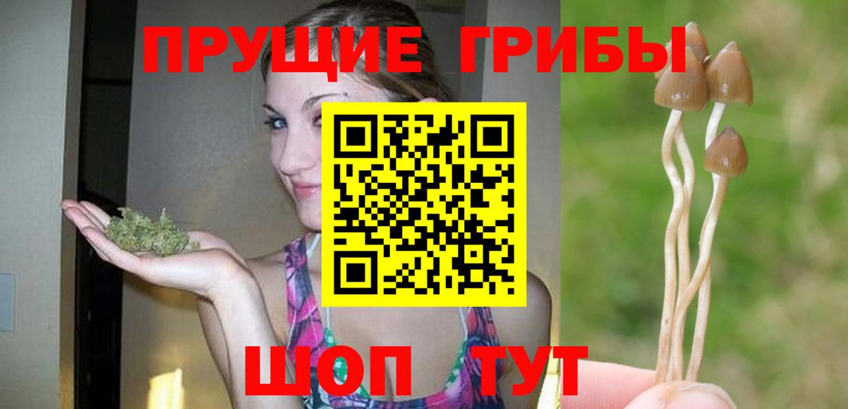 Михайловка  Галлюциногенные грибы мухоморы  Вход с VPN 