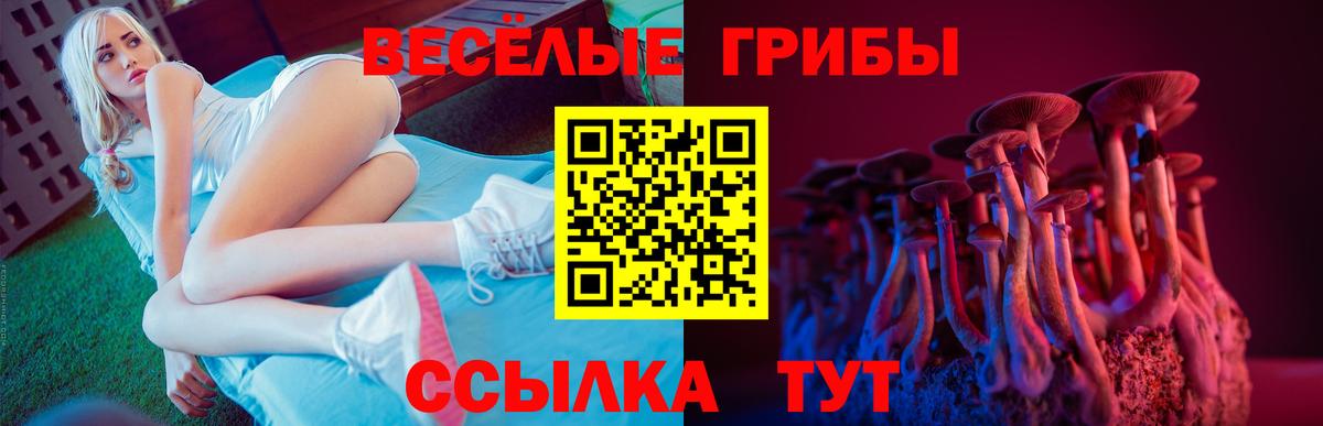 Галлюциногенные грибы Magic Shrooms Михайловка