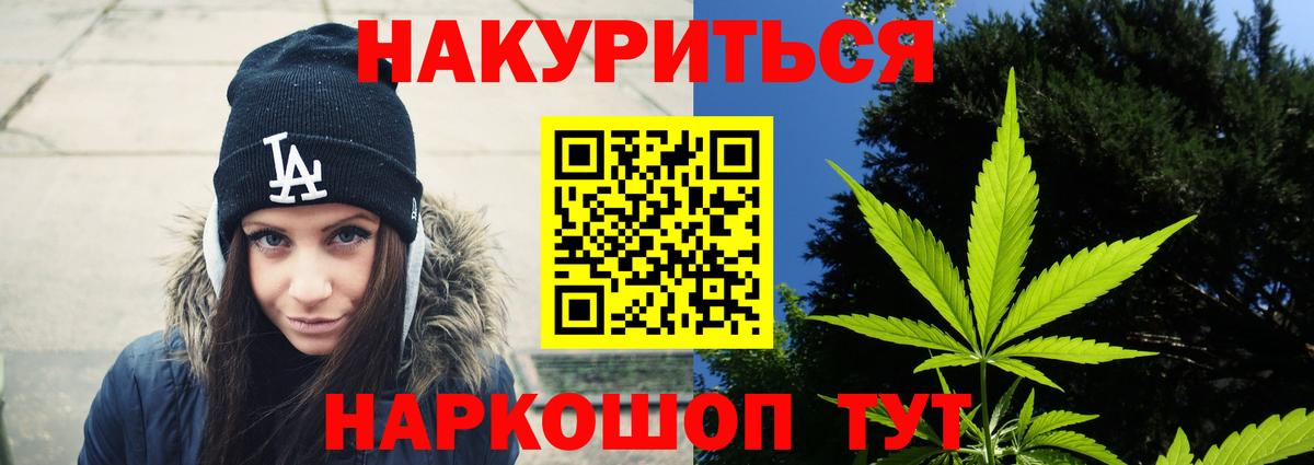 Конопля гибрид Михайловка